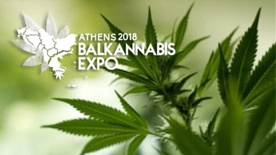 Ο ΣΥΡΙΖΑ με μπροστάρη τον Καρανίκα μετατρέπει την Ελλάδα σε «Μέκκα» της κάνναβης